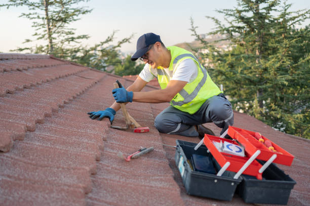 Best Roof Maintenance Services  in Carson City, MI