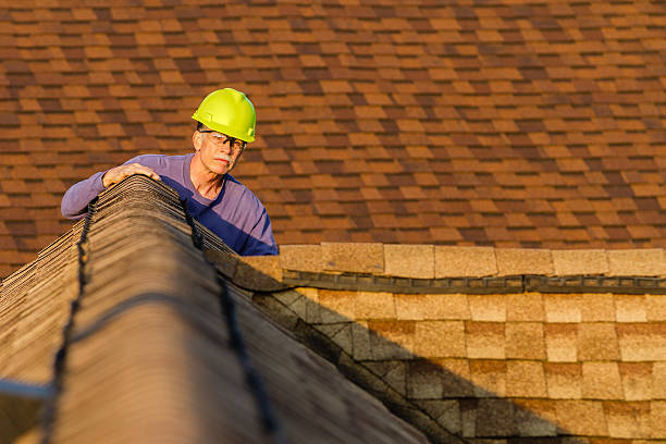 Best Roofing Contractor Near Me  in Carson City, MI