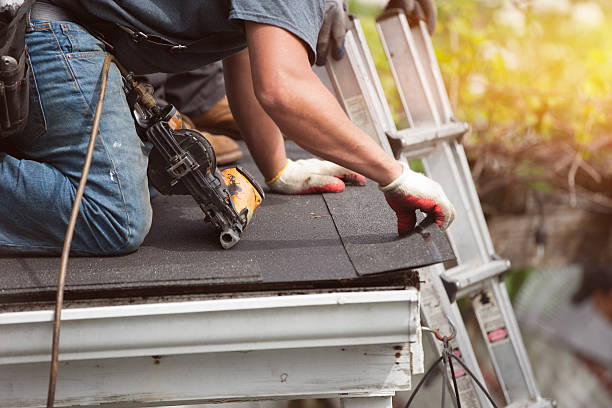 Best Roof Repair Services  in Carson City, MI