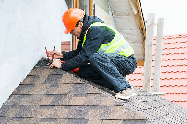 Best Shingle Roofing Installation  in Carson City, MI