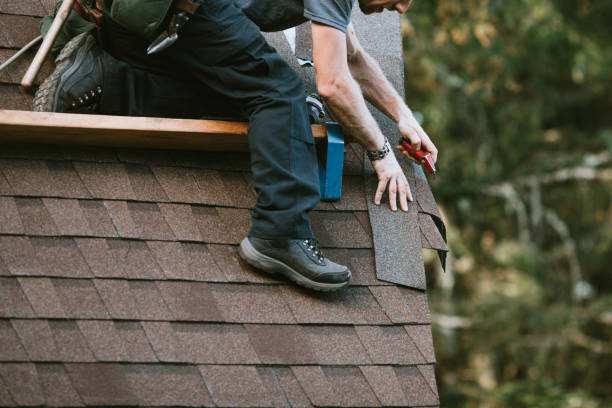 Best Residential Roofing Contractor  in Carson City, MI