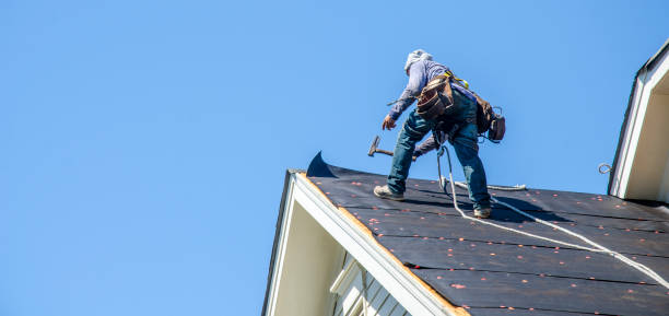 Best New Roof Installation  in Carson City, MI